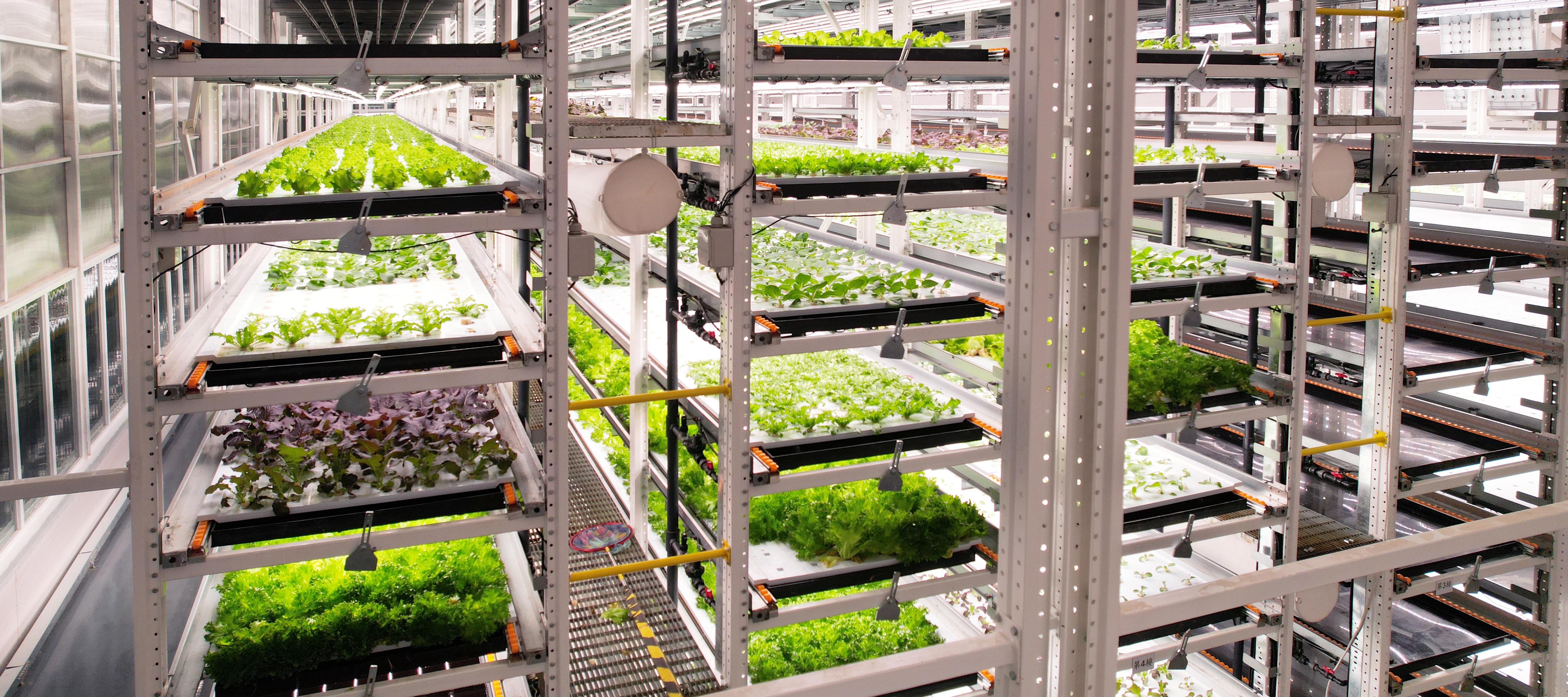 AG8����ֲ�﹤���߲�20231206 (2)_��ͼ��.JPG